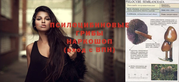 МДПВ Арсеньев